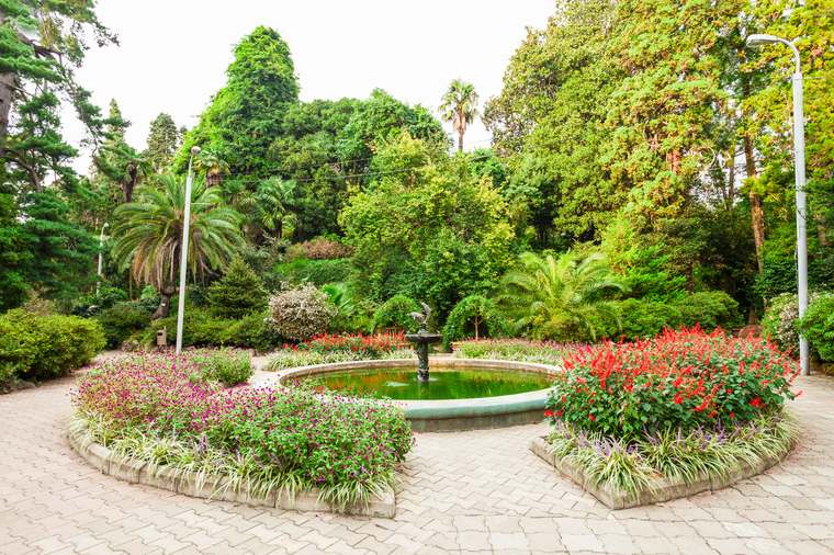 Jardin botanique